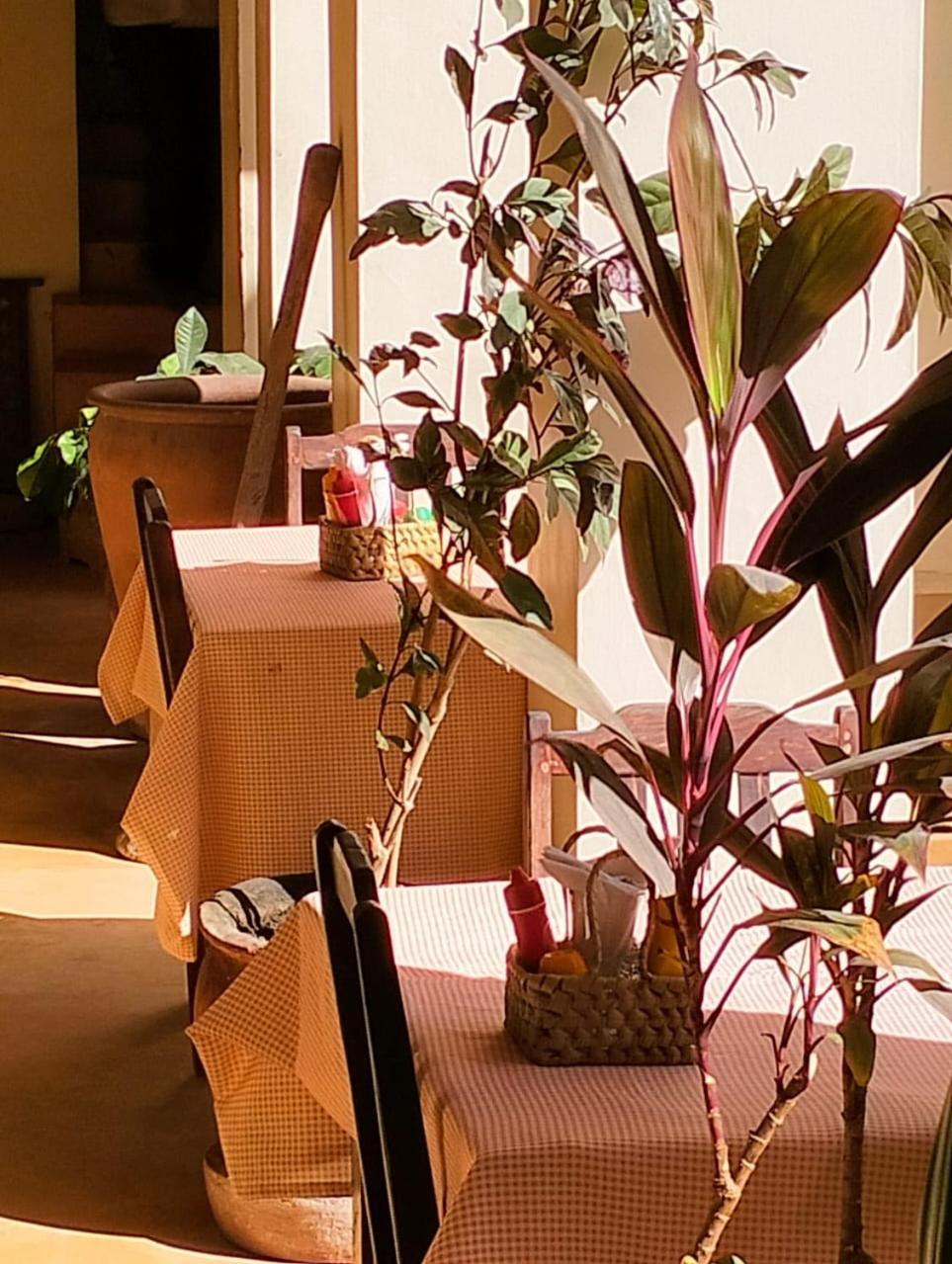 Msafini Hotel Lamu Eksteriør billede